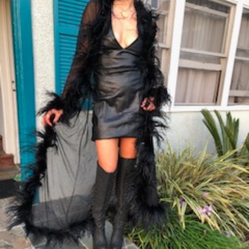 Sheer Feather Robe